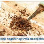 Wc šolja se klati – zamena wc šolje