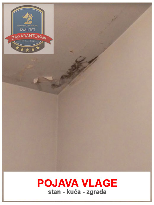 Pojava vlage u stanu/kući/zgradi