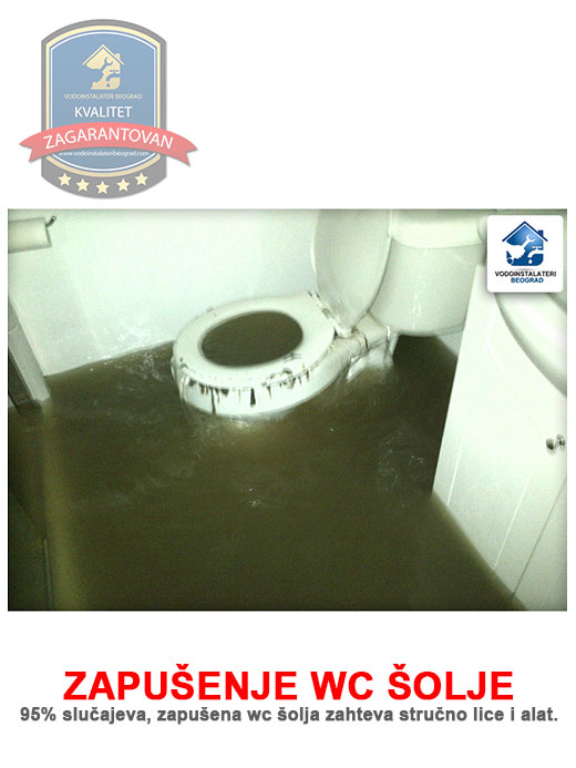 Zapušenje WC šolje